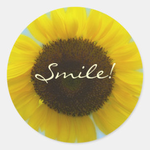 Sticker Rond Flora Photo - Tournesol brillant et joyeux