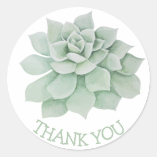 Sticker Rond Floral Merci Cactus Succulent Vert