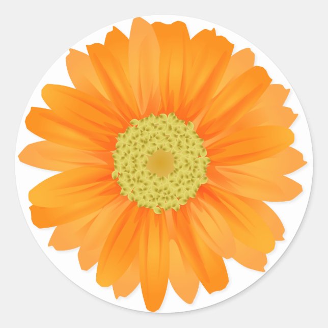 Sticker Rond Floral Orange Gerbera Daisy Fleurs (Devant)