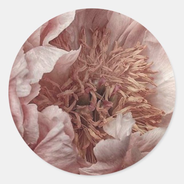 Sticker Rond Floral rose (Devant)