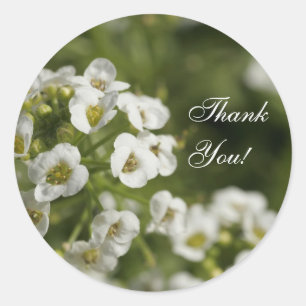 Sticker Rond Floral Thank