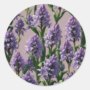 Sticker Rond Flores violettes hollandaises Hyacinth