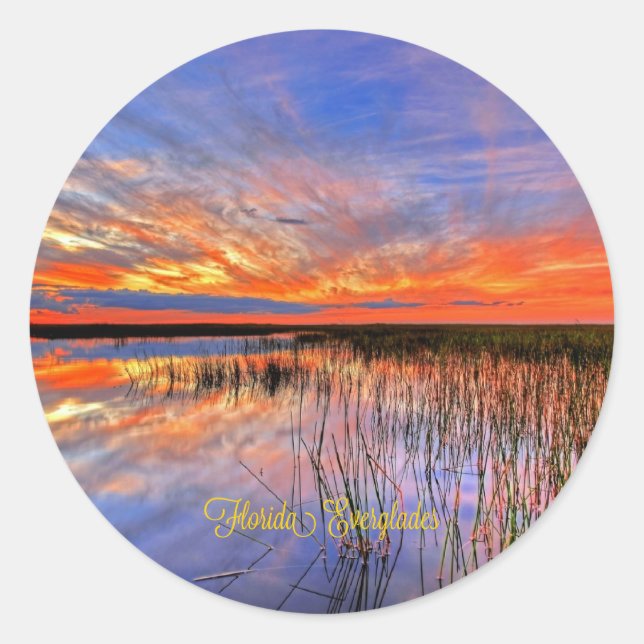 Sticker Rond Floride Everglades, panorama pittoresque, (Devant)