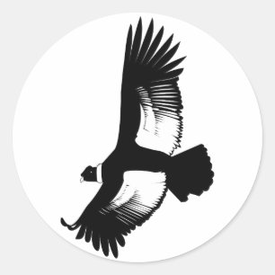 Sticker Rond Flying Andean Condor