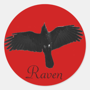 Sticker Rond Flying Black Raven Corvid Crow-lover Photo Design