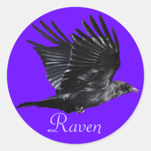 Sticker Rond Flying Black Raven Corvid Crow-lover Photo Design