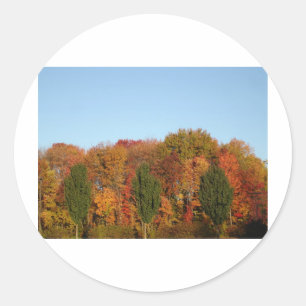 Sticker Rond Folithe d'automne