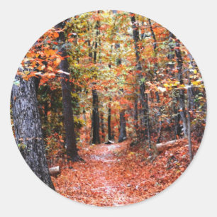 Sticker Rond Forêt peinte sentier d'automne Cadeaux d'aquarelle