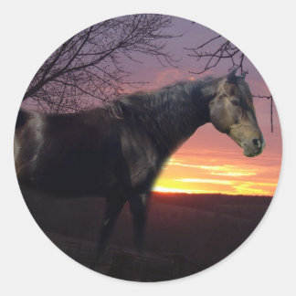 Sticker Rond Forever Morgans Cheval Noir dans le lever de solei