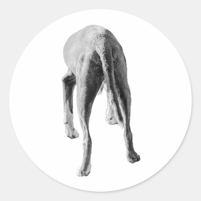 Sticker Rond Formulaire et flux (Devant)