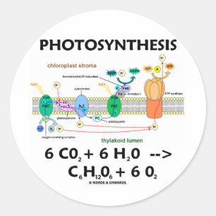 Sticker Rond Formule de photosynthèse (chimique)