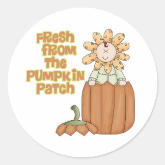 Sticker Rond Fraîche Du Citrouille Patch Faire-part bébé