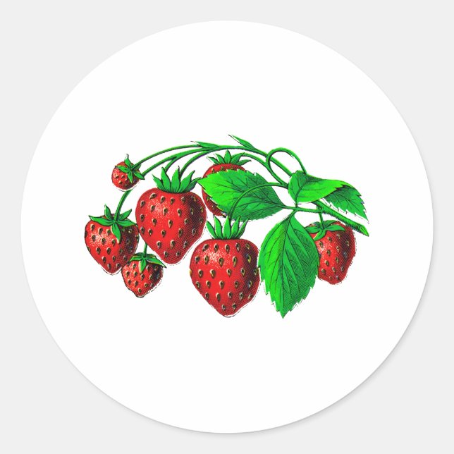 Sticker Rond Fraises fraîches (Devant)