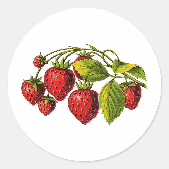 Sticker Rond Fraises fraîches (Devant)