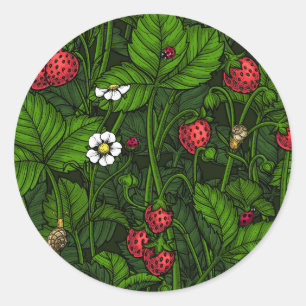 Sticker Rond Fraises sauvages