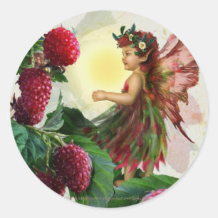 Sticker Rond Framboise