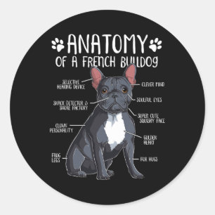 Sticker Rond Français Bulldog Anatomie Français Amoureux des ch