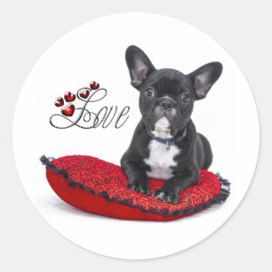 Sticker Rond French Bull Dog - Français - Amour