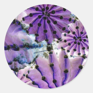 Sticker Rond From Space