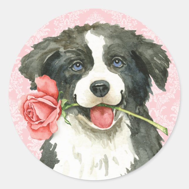 Sticker Rond Frontière Rose Valentine Collie (Devant)