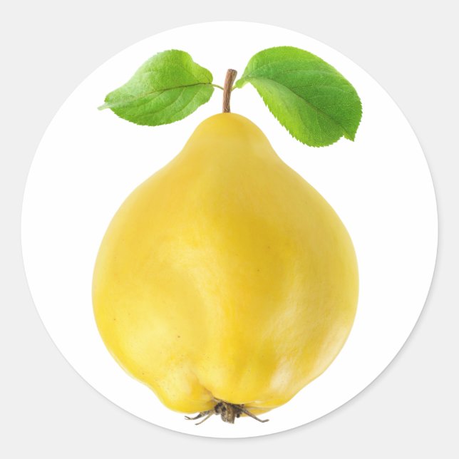 Sticker Rond Fruit de coing (Devant)