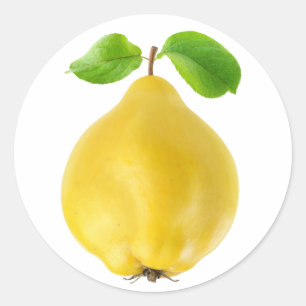 Sticker Rond Fruit de coing