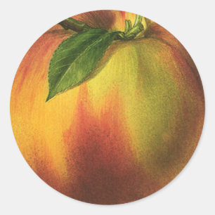 Sticker Rond Fruit vintage, Pêche biologique mûre à la feuille