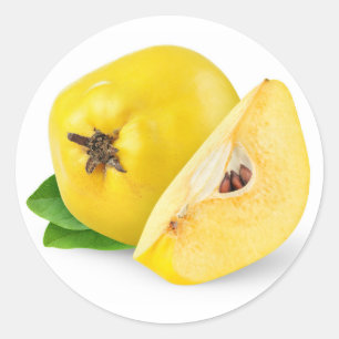 Sticker Rond Fruits de coing