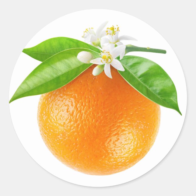 Sticker Rond Fruits et fleurs d'orange (Devant)