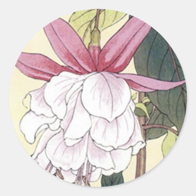Sticker Rond Fuchsia (Devant)