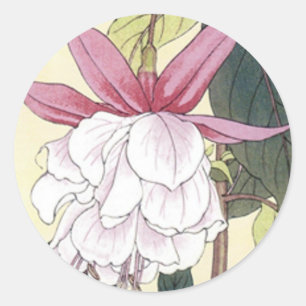 Sticker Rond Fuchsia