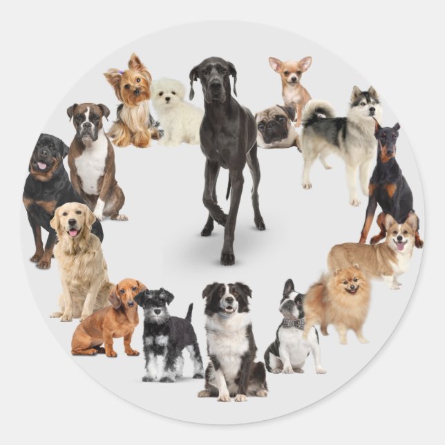 Sticker Rond Fun Chien race Animaux de compagnie Chien Marche C (Devant)