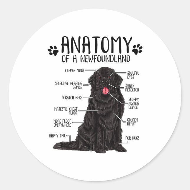 Sticker Rond Funny Anatomy Newfoundland Dog Cute Newfie Lover  (Devant)