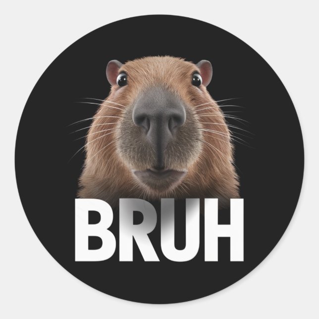 Sticker Rond Funny Capybara Bruh (Devant)