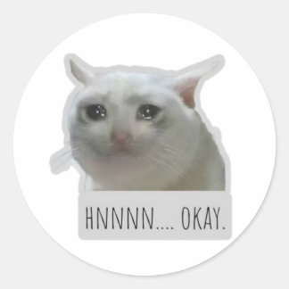 Sticker Rond funny meme cat