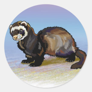 Sticker Rond furet