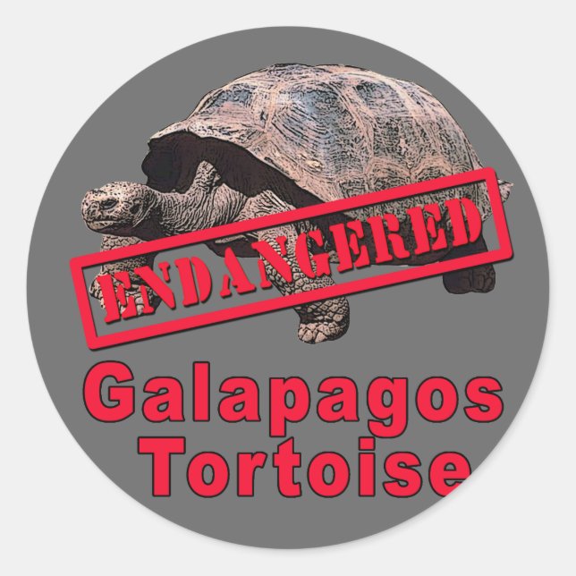 Sticker Rond Galapagos Tortoise Tshirts d'art en voie de dispar (Devant)