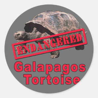 Sticker Rond Galapagos Tortoise Tshirts d'art en voie de dispar