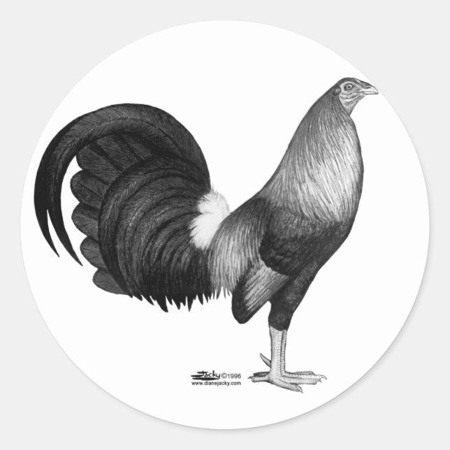 Sticker Rond Gamecock Red Hatch (Devant)