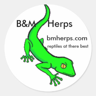 Sticker Rond gecko, B&M Herps, bmherps.com, reptiles chez t...