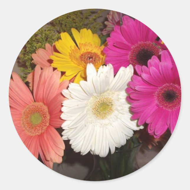 Sticker Rond Gerbera Daisies 017 (Devant)