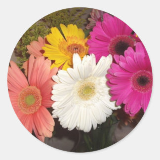 Sticker Rond Gerbera Daisies 017