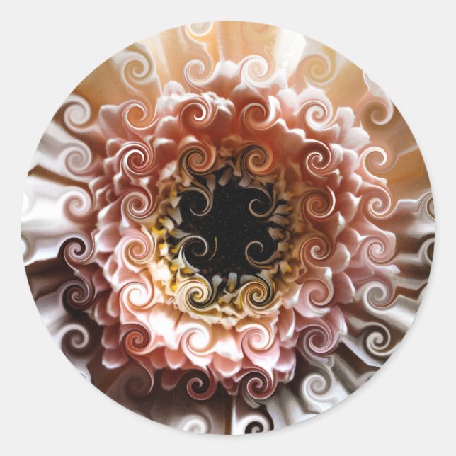 STICKER ROND GERBERAS (Devant)