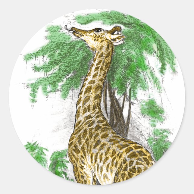 Sticker Rond Giraffe Gifts (Devant)