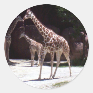 Sticker Rond Giraffes