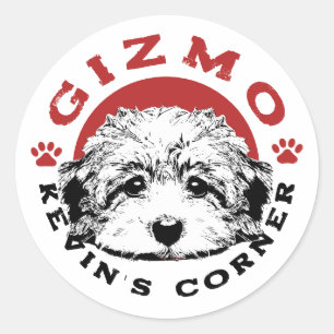 Sticker Rond Gizmo Kevin's Corner Pet Maltipoo Chiot