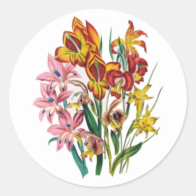 Sticker Rond Gladioli (Devant)