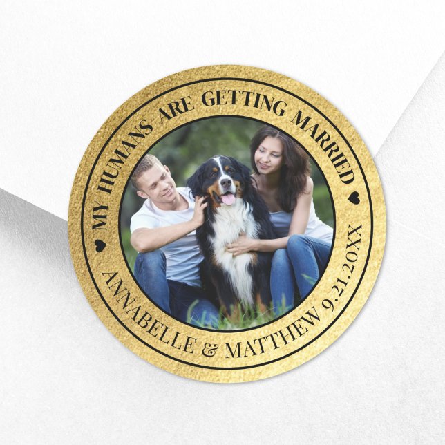 Sticker Rond Gold Photo Pet Wedding Enregistrer La Date (Dog Photo Pet Gold Wedding Save The Date Classic Round Sticker)