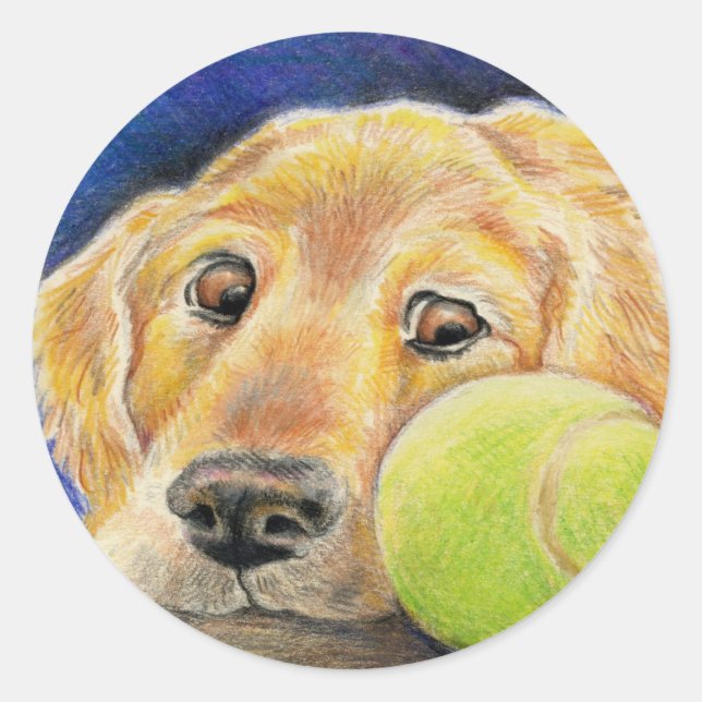 Sticker Rond Golden Retriever avec balle de tennis (Devant)