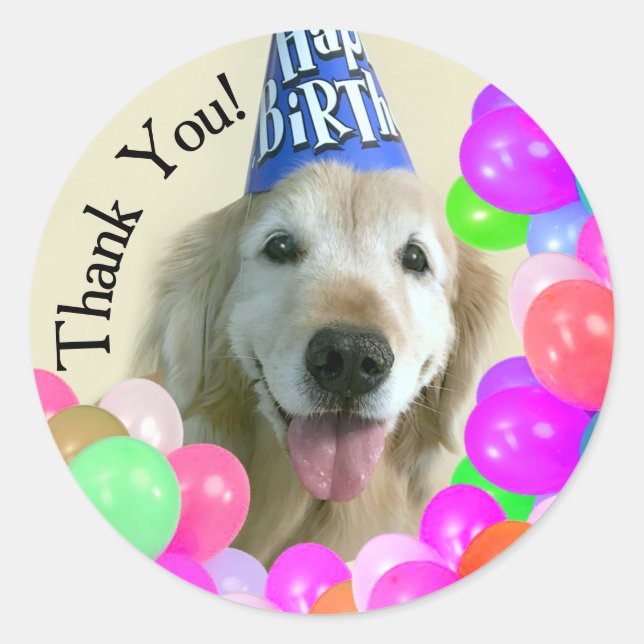 Sticker Rond Golden Retriever Avec Ballons Merci Anniversaire (Devant)